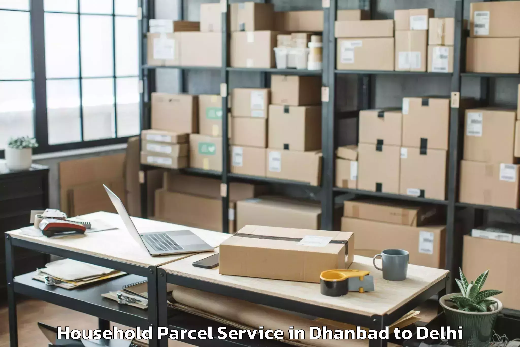 Professional Dhanbad to Delhi Technological University Household Parcel